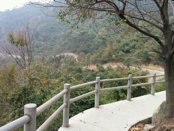 zqd151002肇庆白沙龙母祈福肇庆新亮点北岭山森林公园超值一日游豪礼